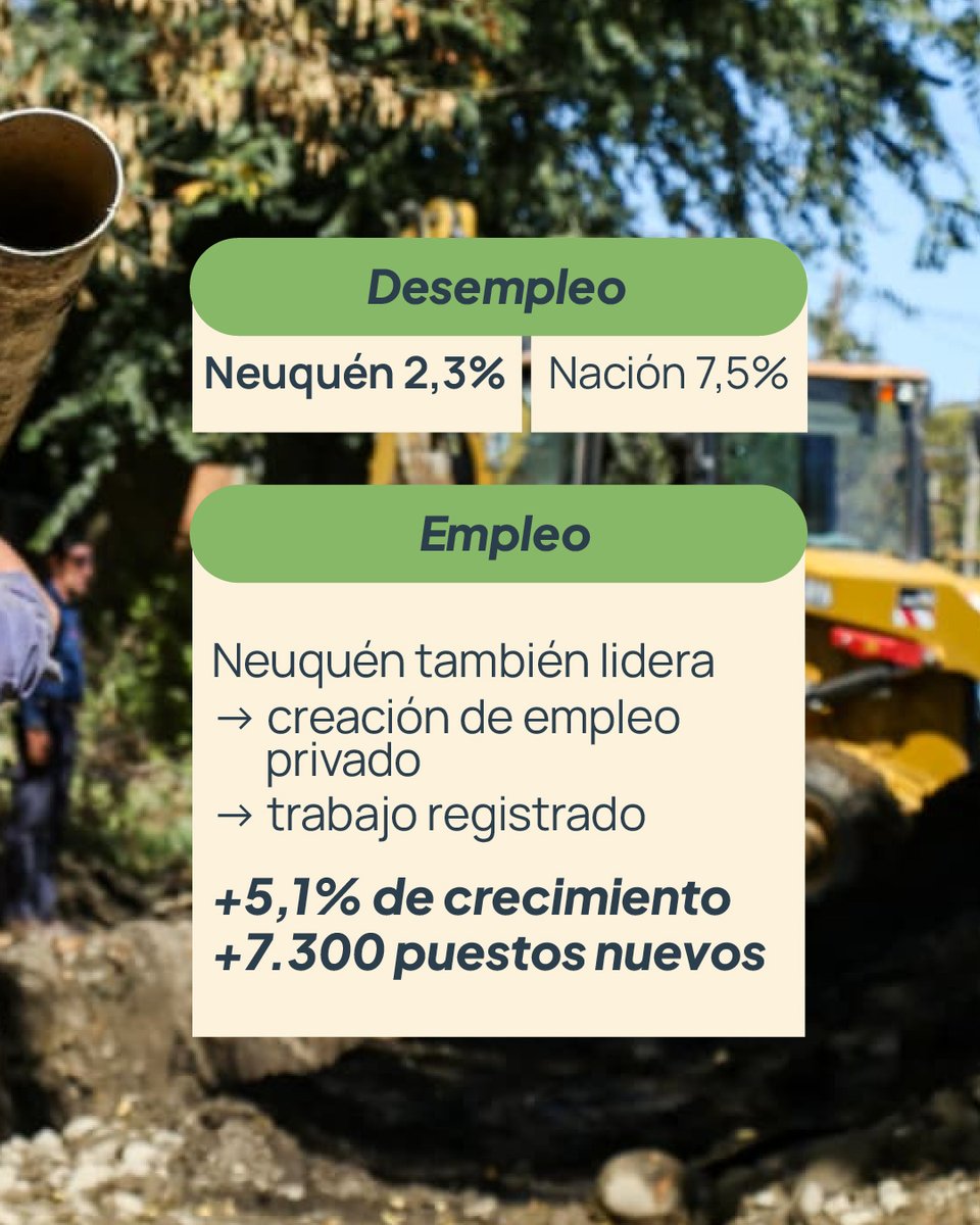 Gobierno de la Provincia del Neuquén tweet media