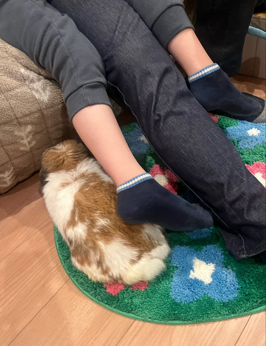 おもち tweet media