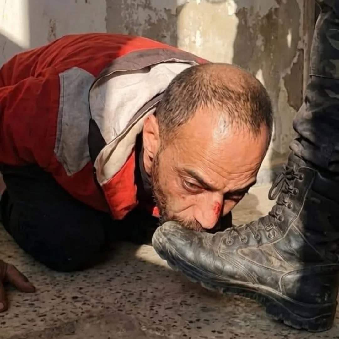 Mohammad Abedi 🦅🇮🇷 tweet media