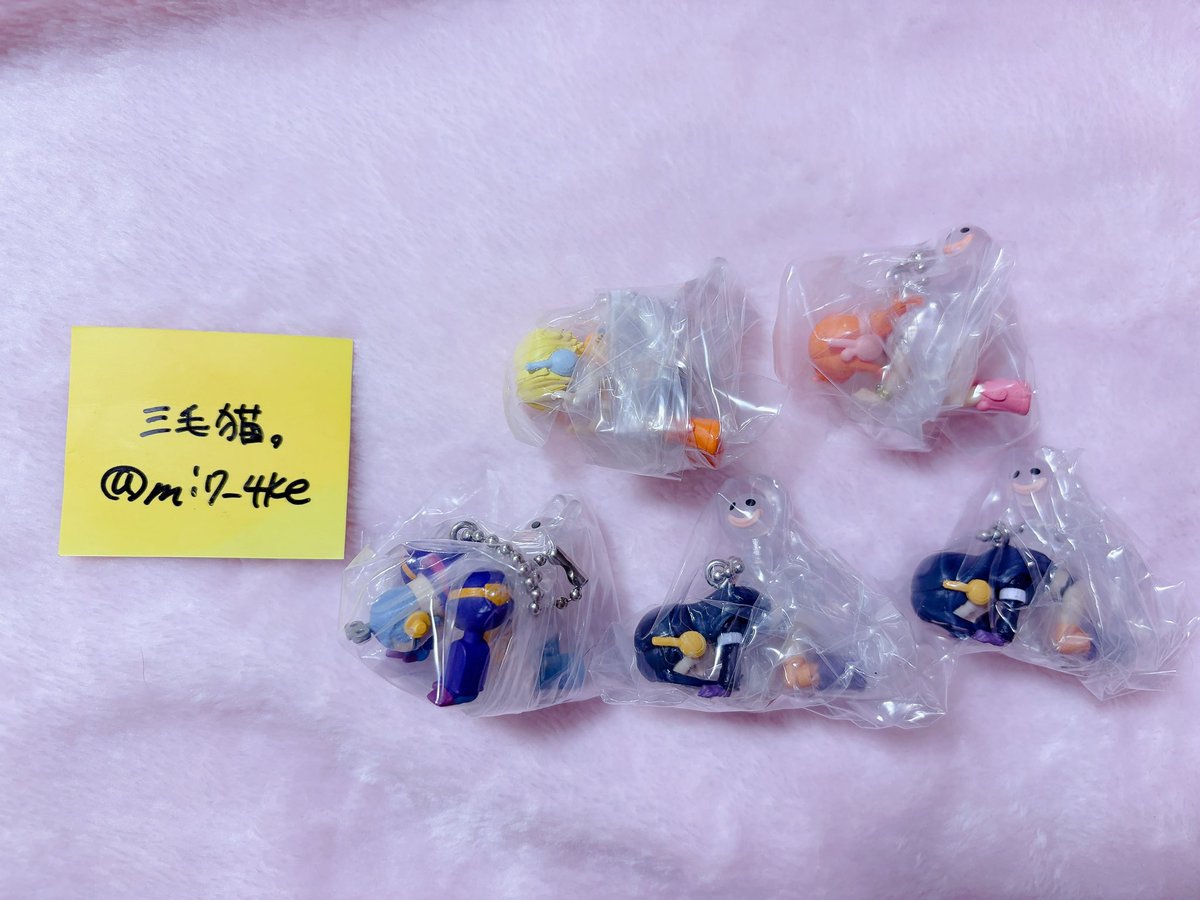 三毛猫。 tweet media