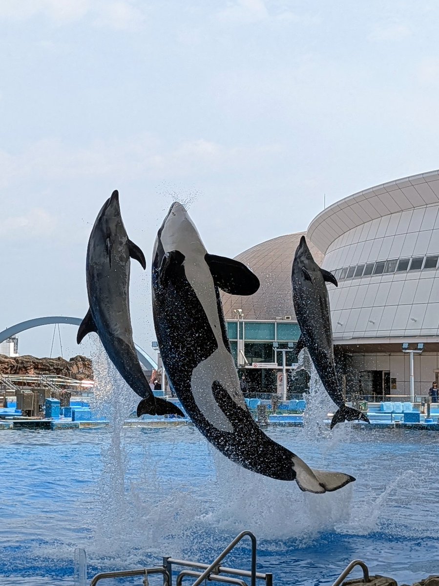 ちゃき♐ tweet media