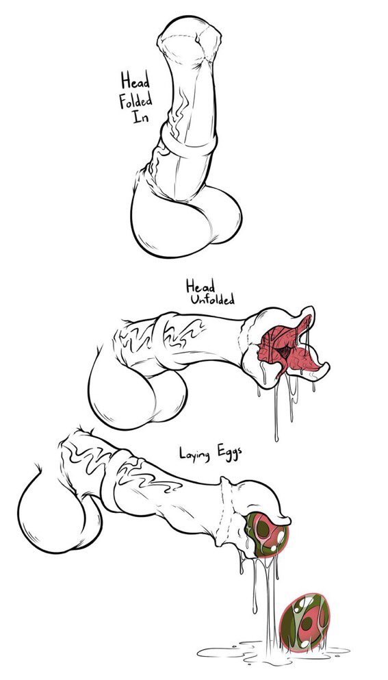 The Lewd Spider tweet media