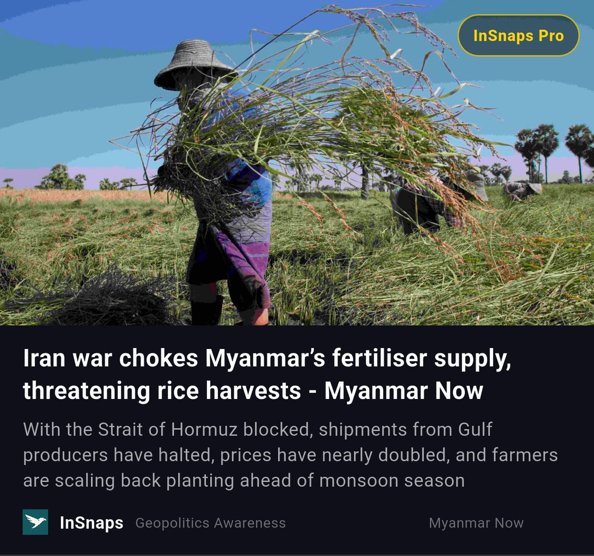 BuildWtPrakhar's tweet image. Iran war chokes Myanmar’s fertiliser supply, threatening rice harvests - Myanmar Now

Read this news on InSnaps. insnaps.app/a/L_9glXB88G9A…

#MyanmarNow #Civil #War #Myanmars #Myanmar #Now #Geopolitics