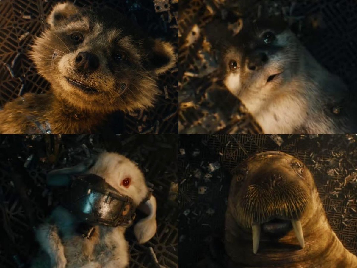 aadeetyaps's tweet image. Rocket, Lylla, Floor, Teefs ❤️‍🩹 
I wish there was a better ending where they get to say goodbye properly. 

"It really is good to have friends" ~ Lylla 

This line wasn't just a quote but a feeling, hitting it right where it hurts🫶🏽❤️‍🩹
#Guardiansofthegalaxy