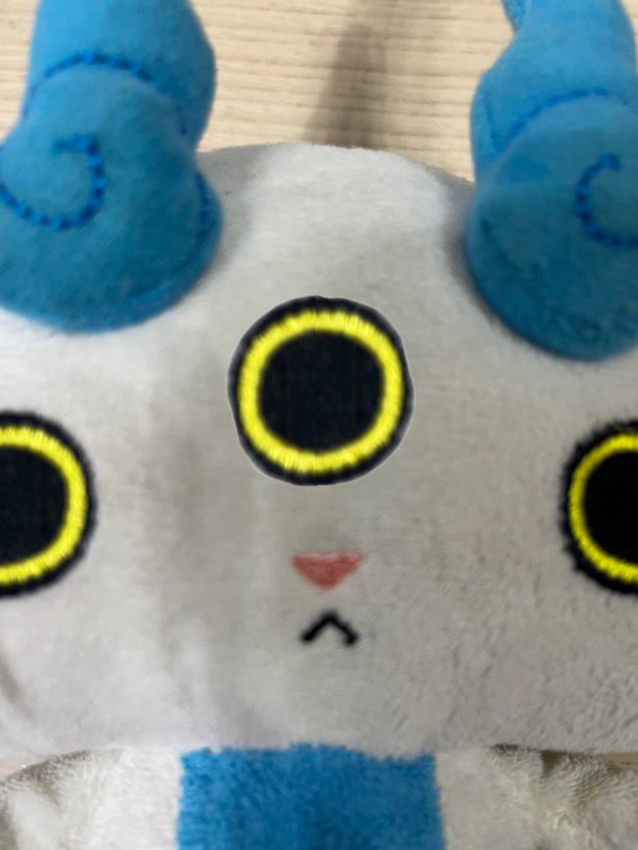 ゆまぺ tweet media