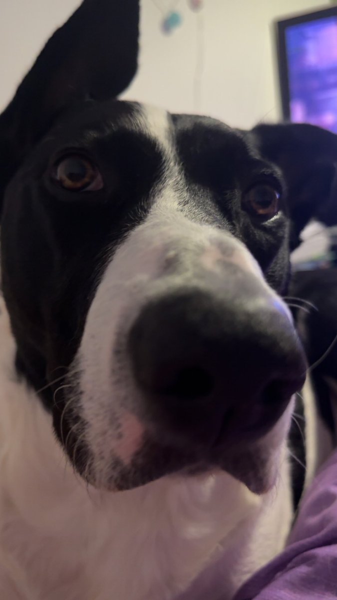 rice🍉 tweet media