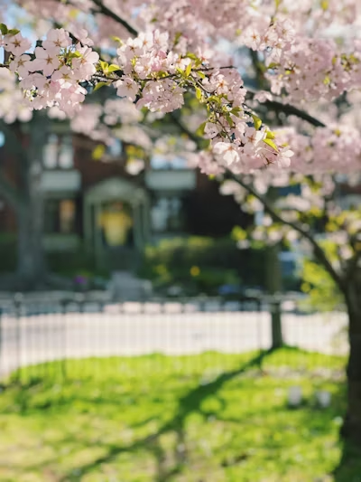 【星屑】TRPGがしたい！@SW2.5 tweet media