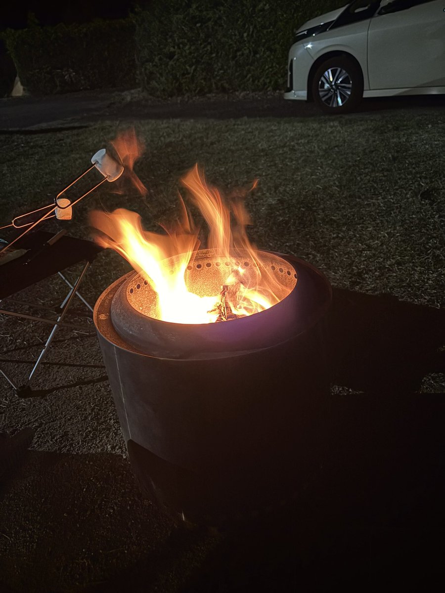 野蛮人ゴリラ🍖🍺 tweet media