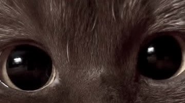 ︵︵ ⁺ ₊　arabella!　♡ tweet media