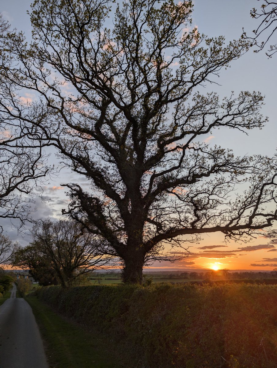 Papadopoli60571's tweet image. #sunset