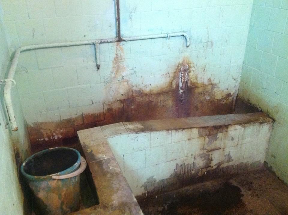 Non Sibi Sed Aliis tweet media