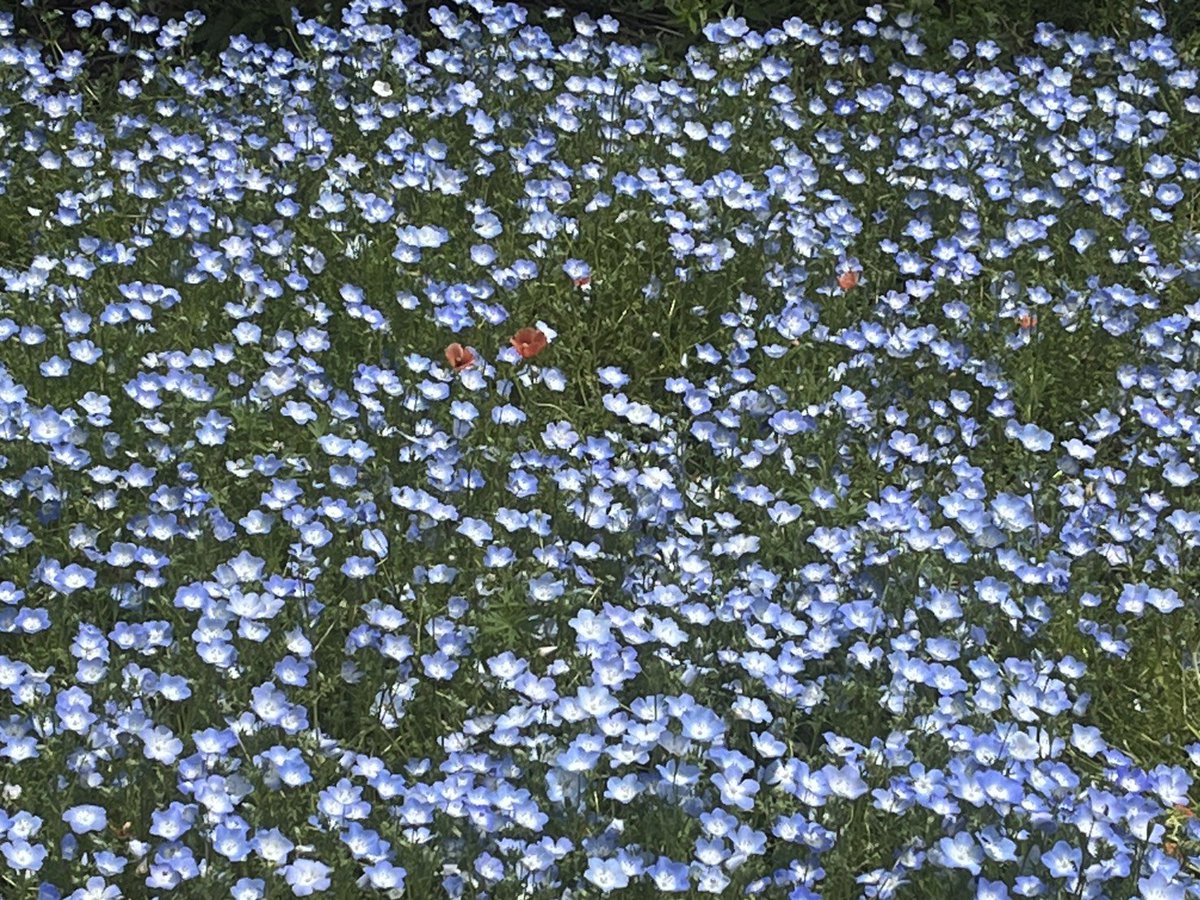 koichi_kawakami's tweet image. ツイデモしましょう
4月25日(土) 21:00〜
#PCR検査と治療薬の公費負担を求めます

コロナは終息していません. これまでに16万人以上が亡くなり, 後遺症は推定数百万人. 検査,治療薬,ワクチンが高価です. 後遺症への支援は不十分なままです.

検査,治療薬,ワクチンへの容易なアクセス
換気設備整備