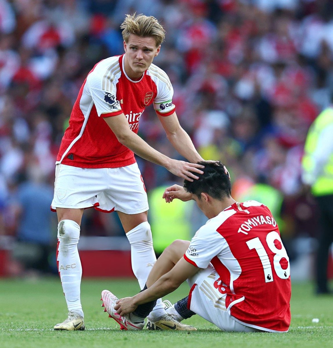 DailyAFC tweet media