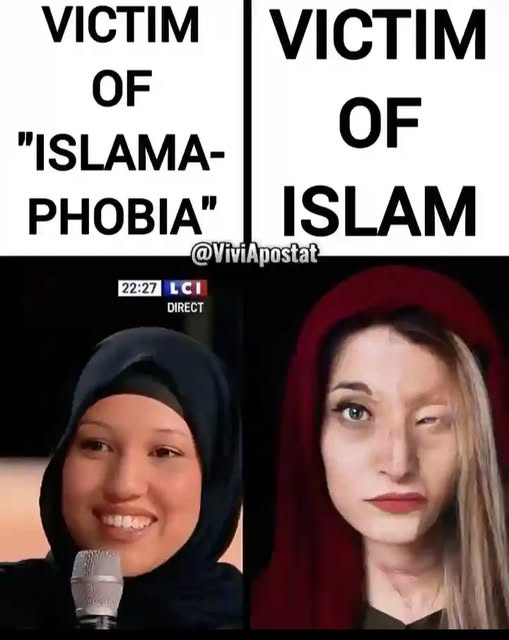 SaltyGoat tweet media