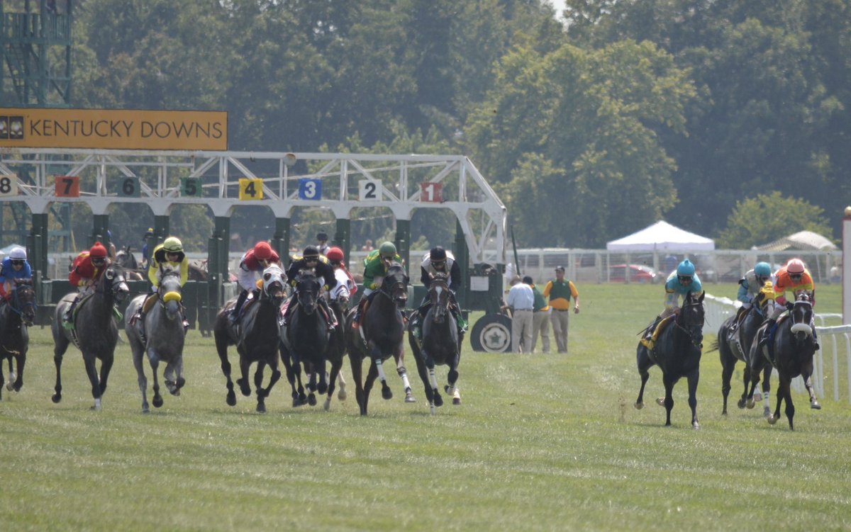 KYDownsRacing's tweet photo. Malibu Preacher finished 5th in a maiden special weight at #KyDowns in 2015. This weekend, the 14 year old gelding is competing in the Defender Kentucky Three-Day Event with rider Alex Conrad. 

Best of luck to this pair at one of the world’s premier equestrian competitions 🙌 

#KyDownsGrad #OTTB