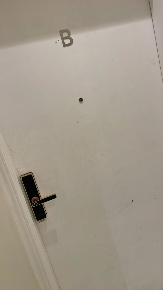 Alejandro Albertson tweet media