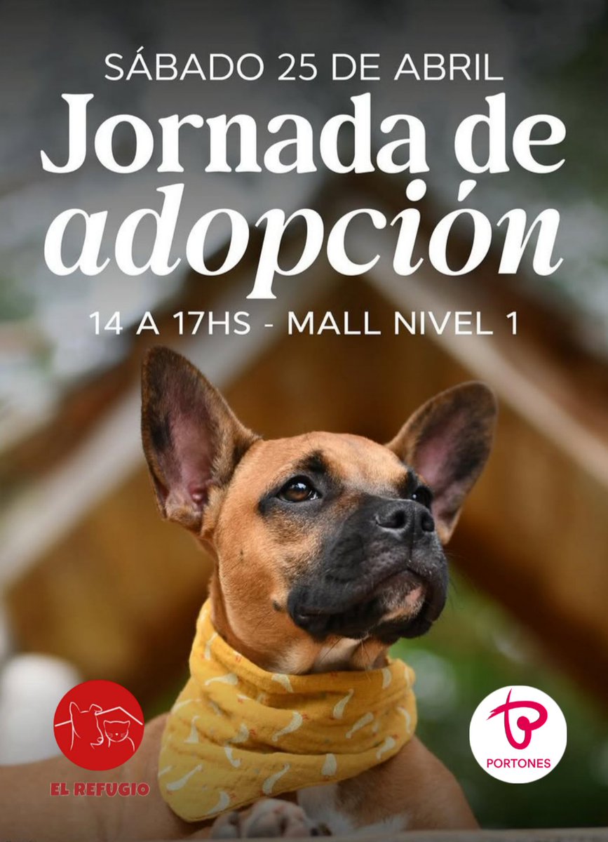 Toni El Canilla tweet media