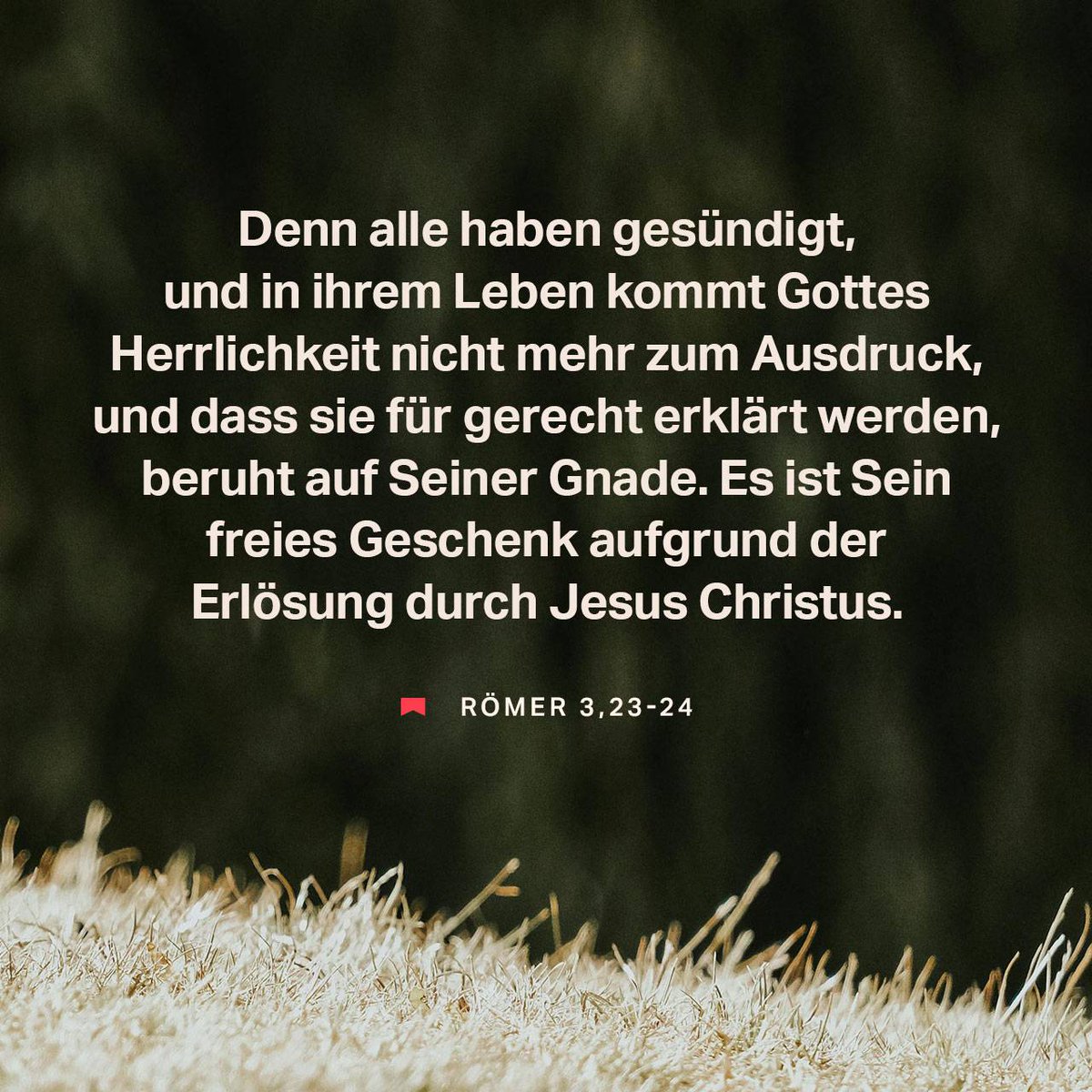 RfD_BRD's tweet image. Vom #Minus zum #PLUS - #göttliches #Tageswort für den 25.04.2026: minus-plus.de