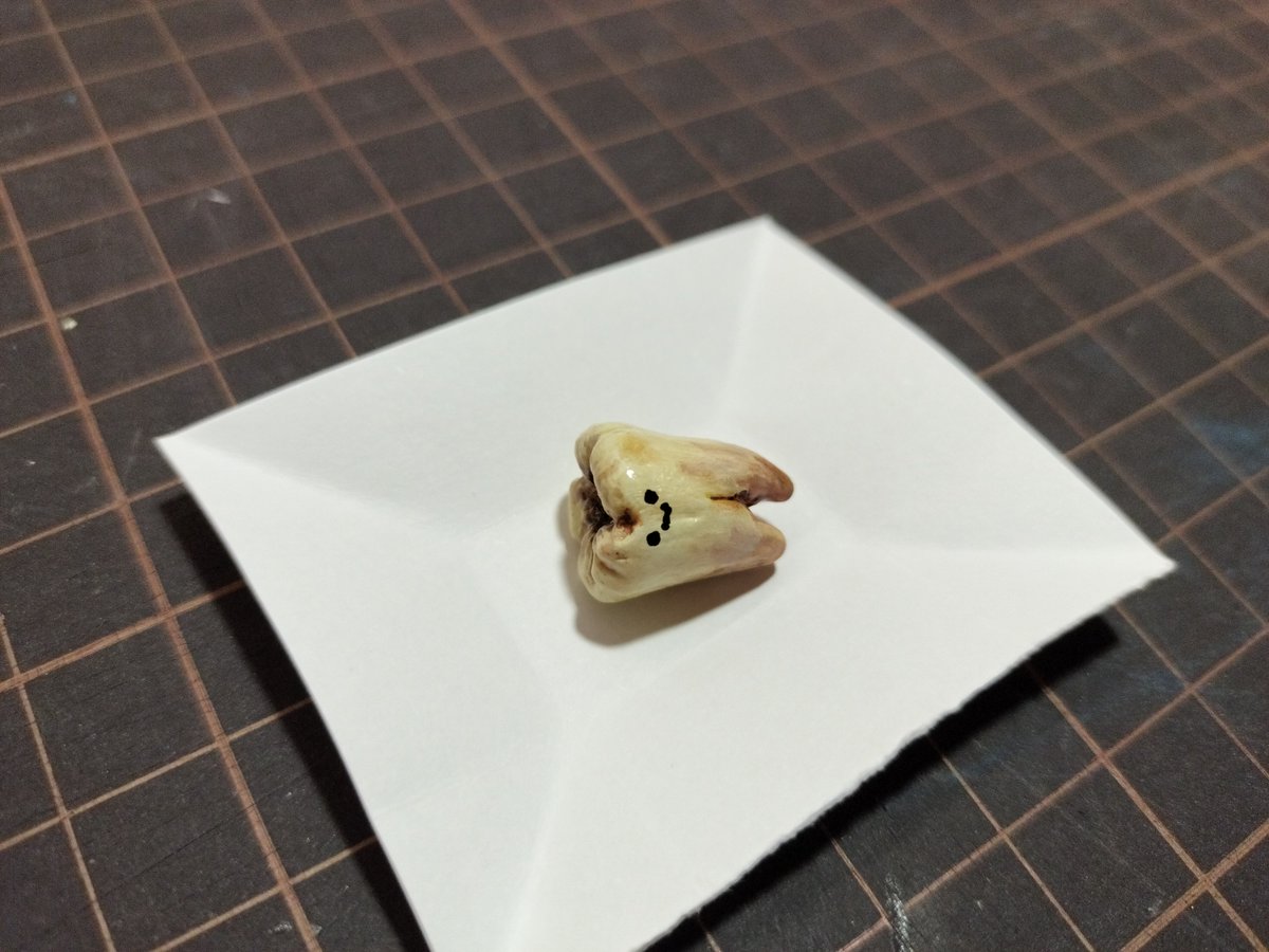 4氏 tweet media