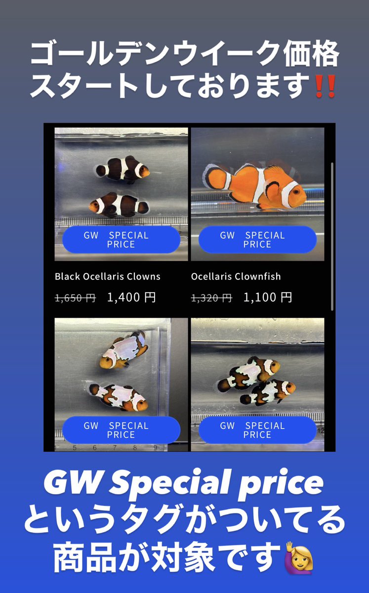 FISH UP (@fishup2024) on Twitter photo 