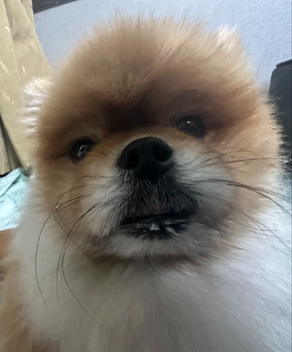 김상만 tweet media