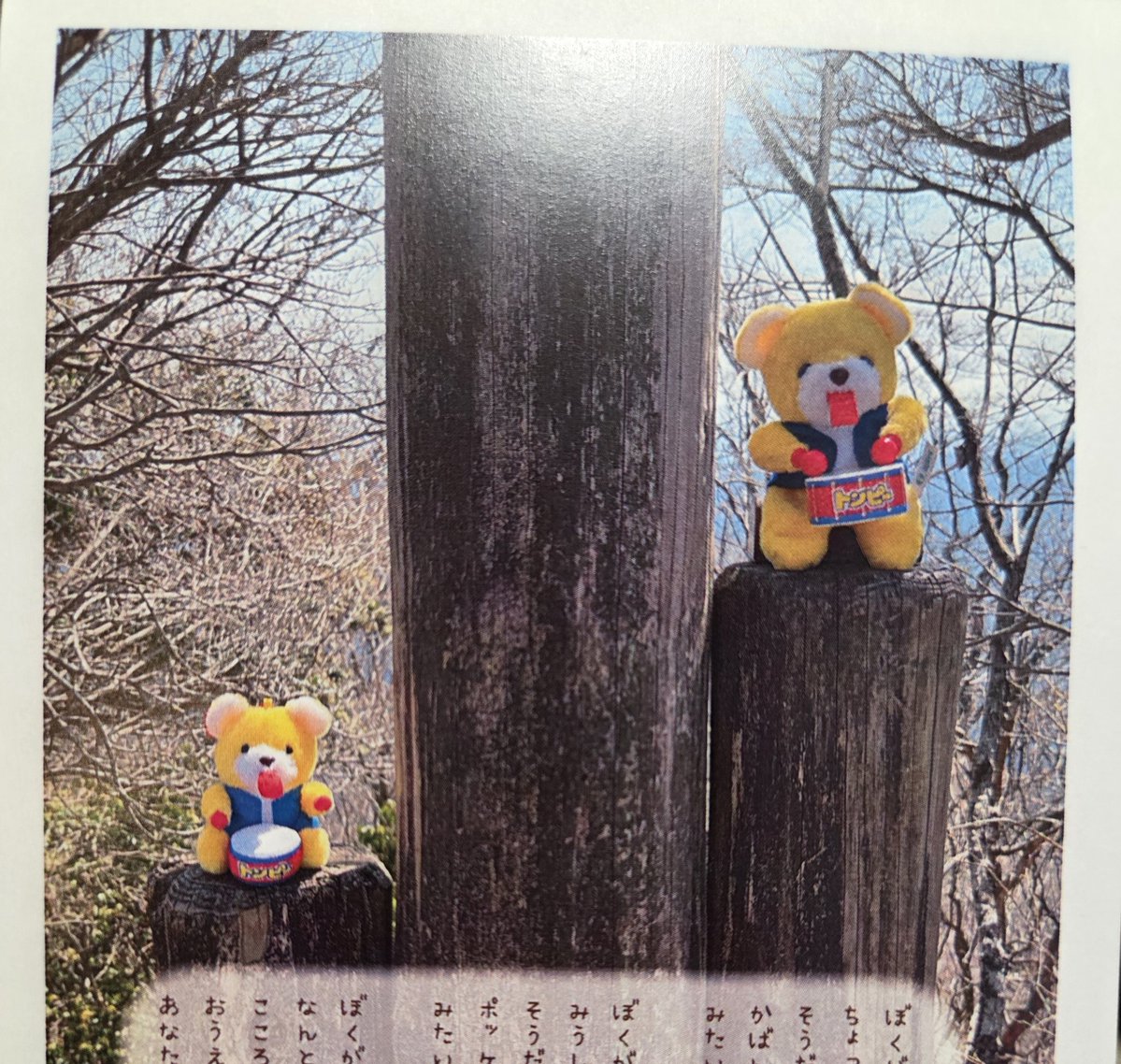 カダ tweet media