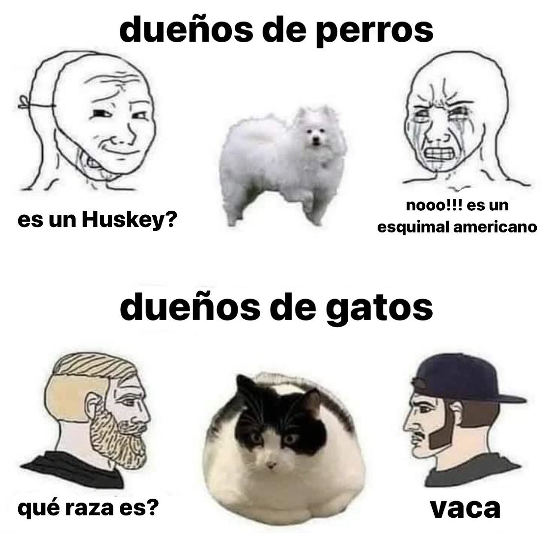 Ana_LaPatata tweet media