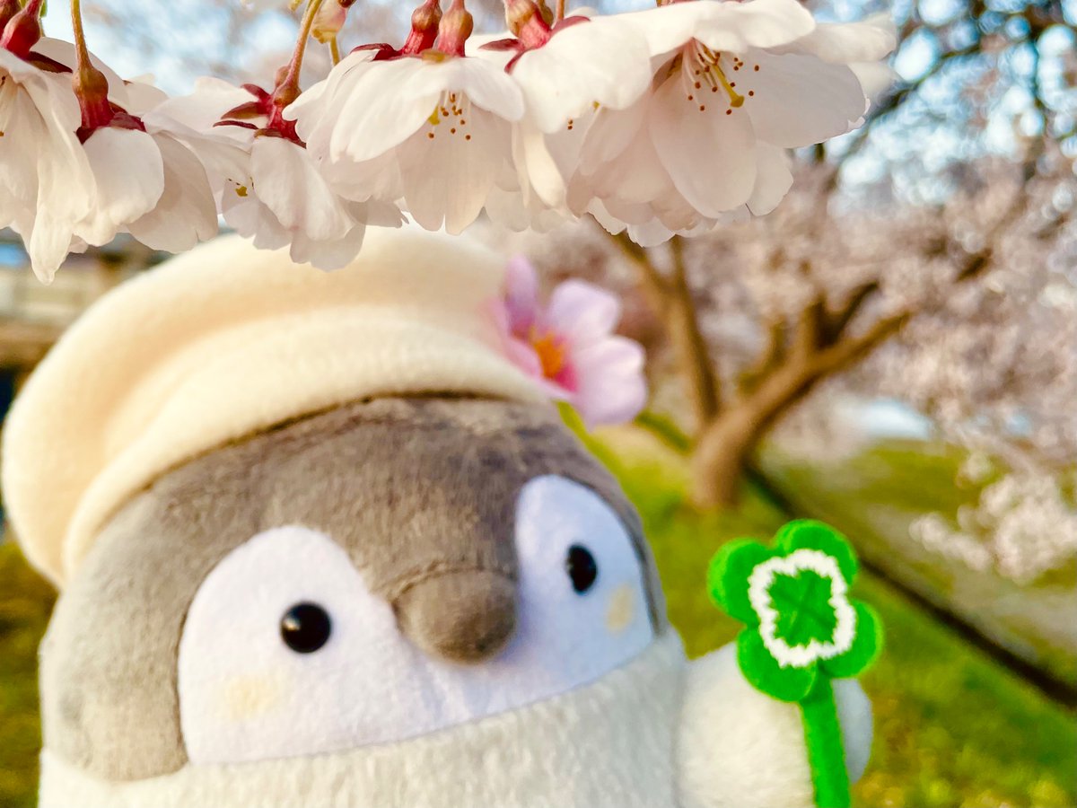 世界ペンギンの日🐧✨