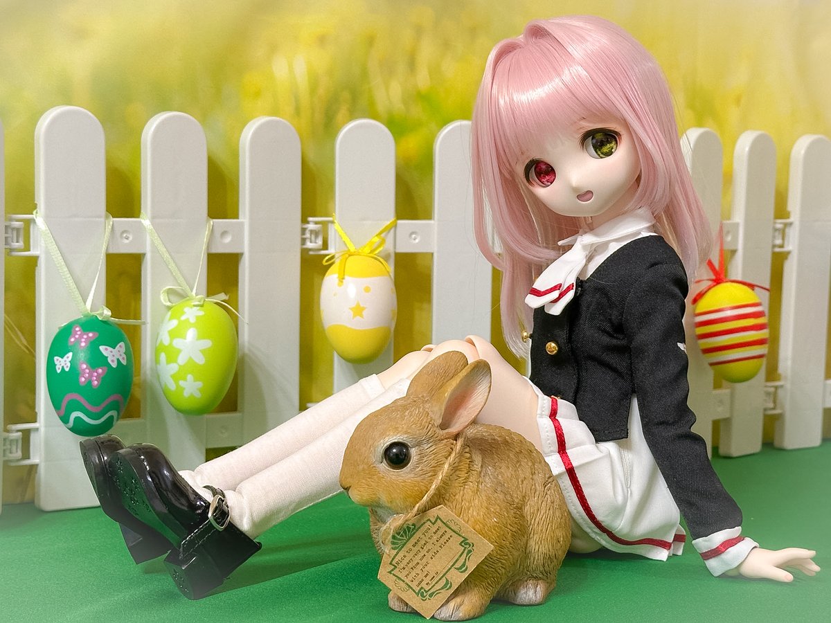 あひゃあ 👑🪷🚓🐾♫🐌 tweet media