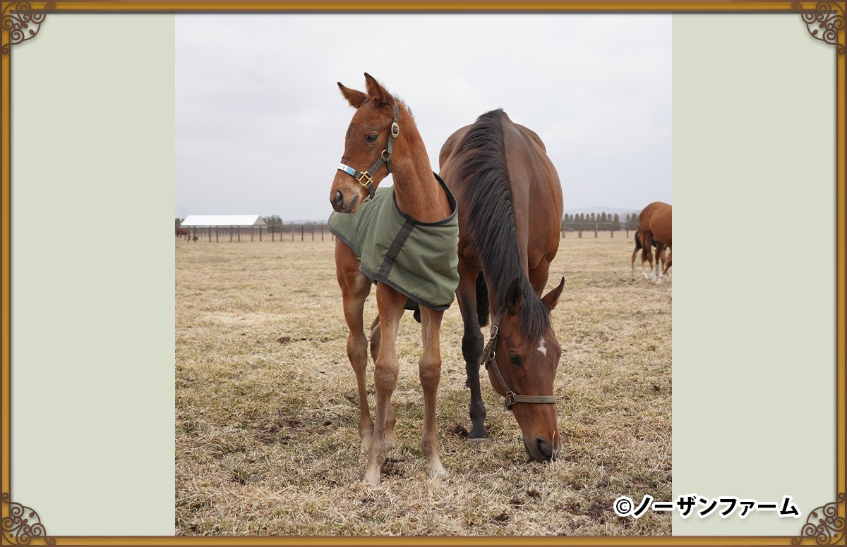 Nakayama-San tweet media