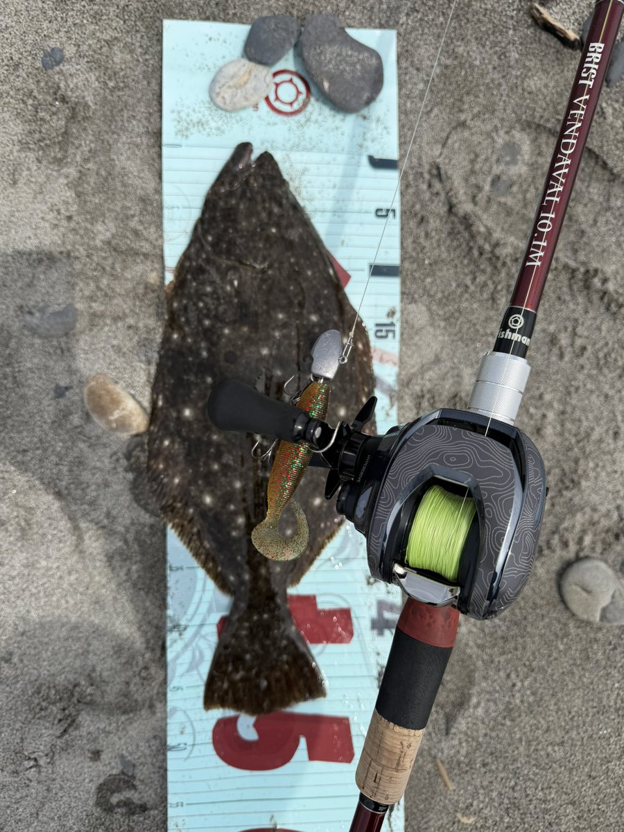 247fishingclub's tweet photo. 仿¥ããã©ã¡ïŒð€
#247fishingclub
#buddyworks https://t.co/v8cJBmII4b