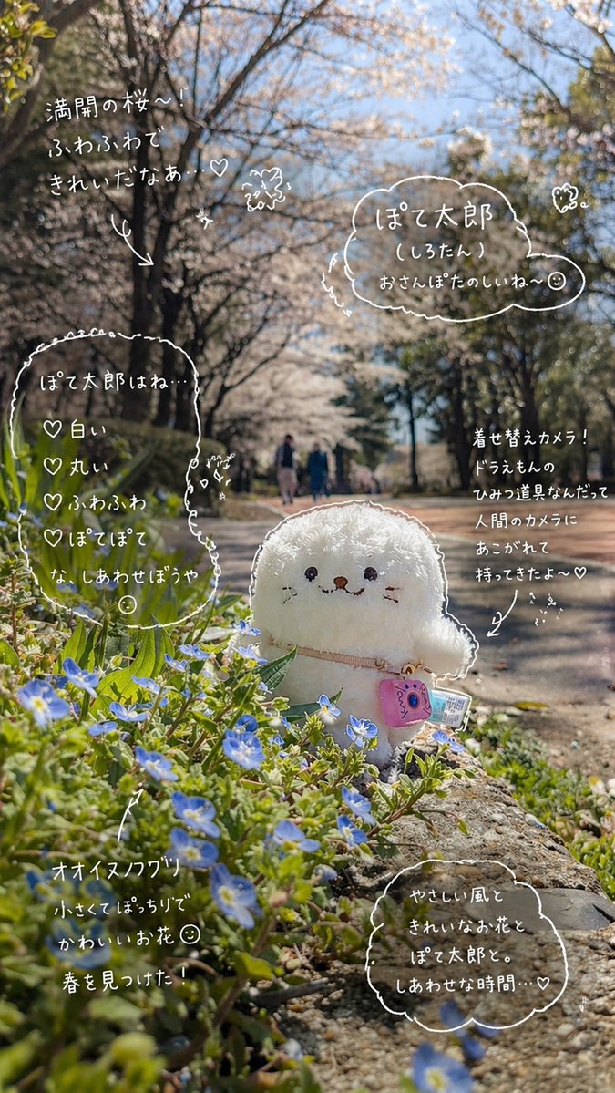 はむべこ tweet media
