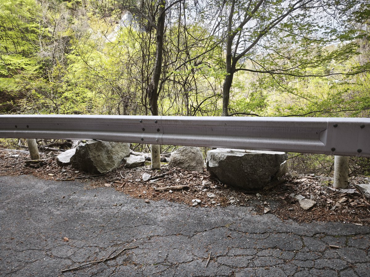 おさかなさん tweet media