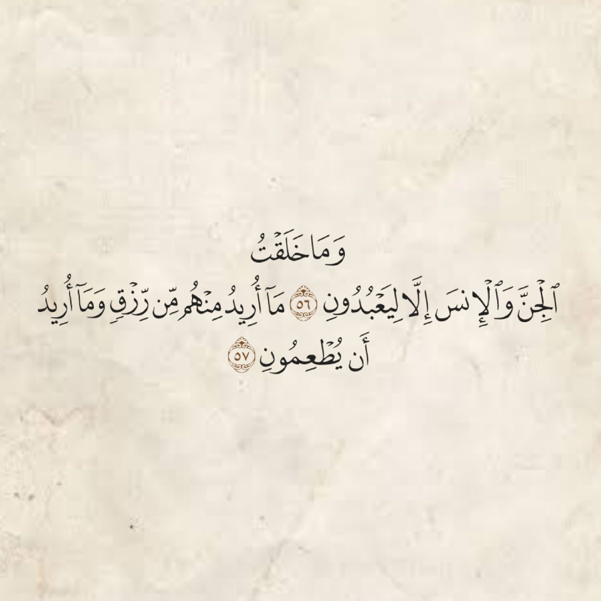 المُصْحَف tweet media