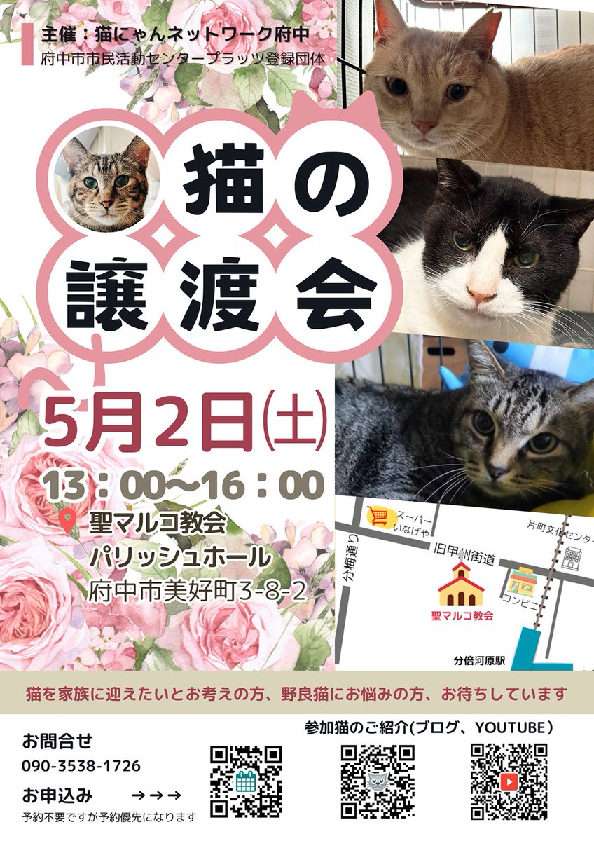 ラブとハッピー府中@里親募集中 tweet media