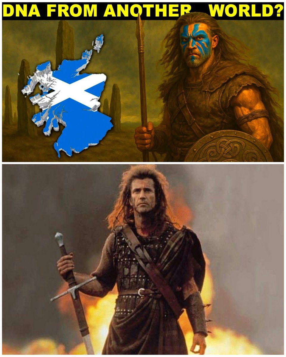 Collective Spark tweet media