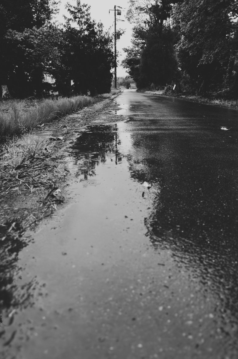 akabeko63's tweet image. #2461
#monochrome #モノクローム