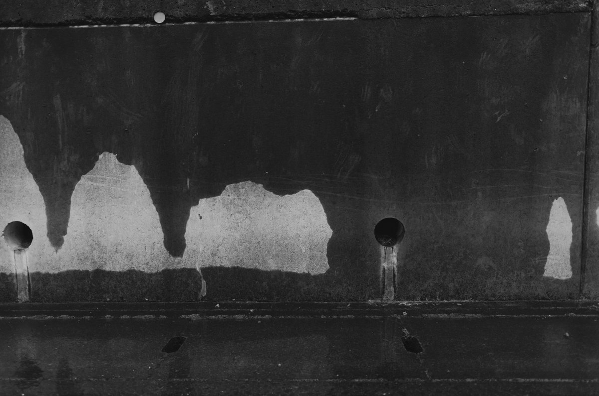 akabeko63's tweet image. #2461
#monochrome #モノクローム