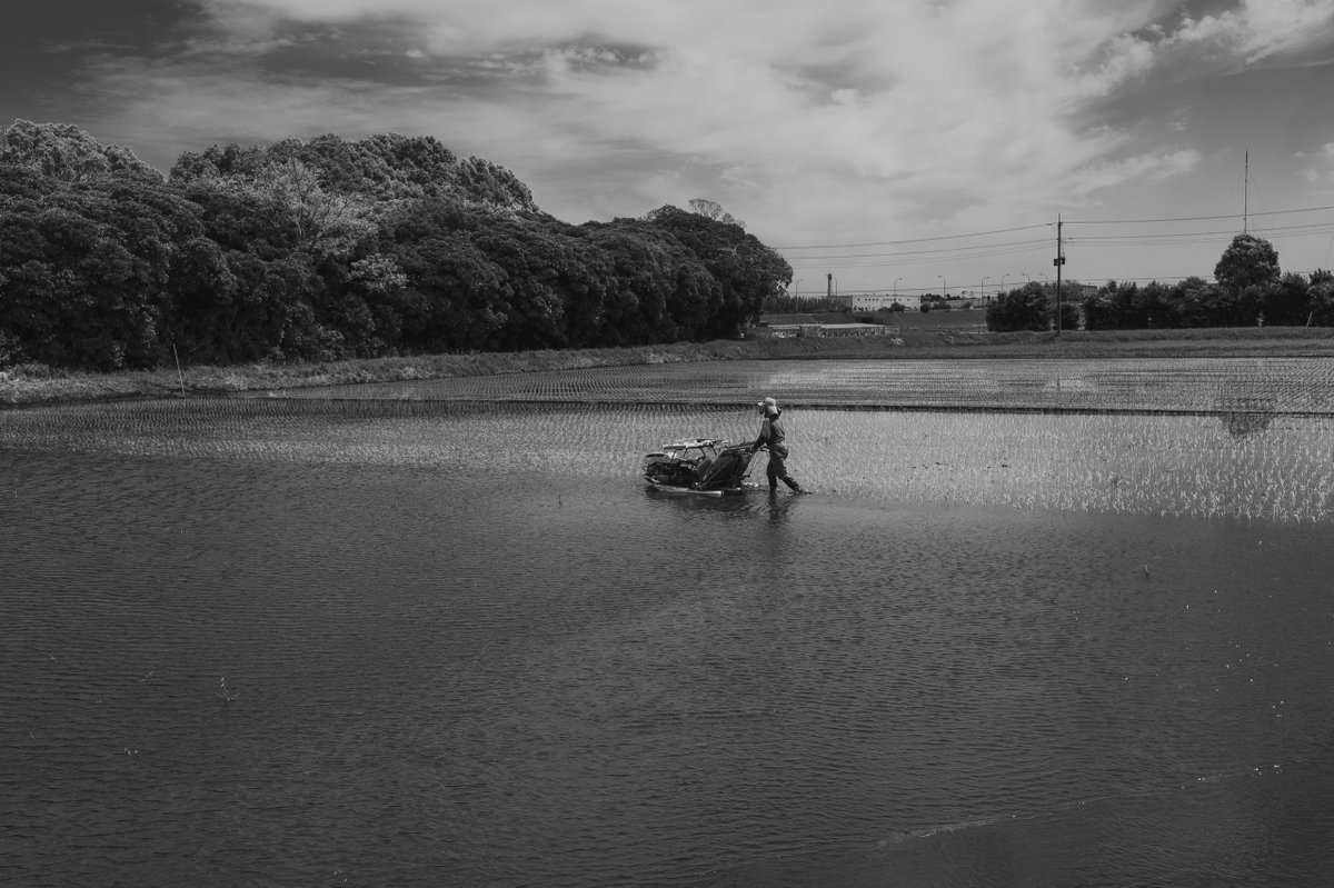 akabeko63's tweet image. #2461
#monochrome #モノクローム