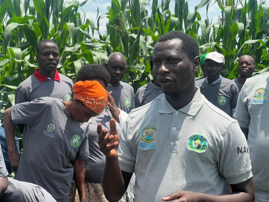 fordbee's tweet image. Agri Intel: The "Tekana" insurance scheme is scaling AI-triggered payouts today. 🛰️ Farmers hit by erratic rain are receiving instant mobile payments based on satellite data—zero delay, zero red tape. 📱🌧️ #ClimateSmartAgri #Tekana #AgriTech #RwOT