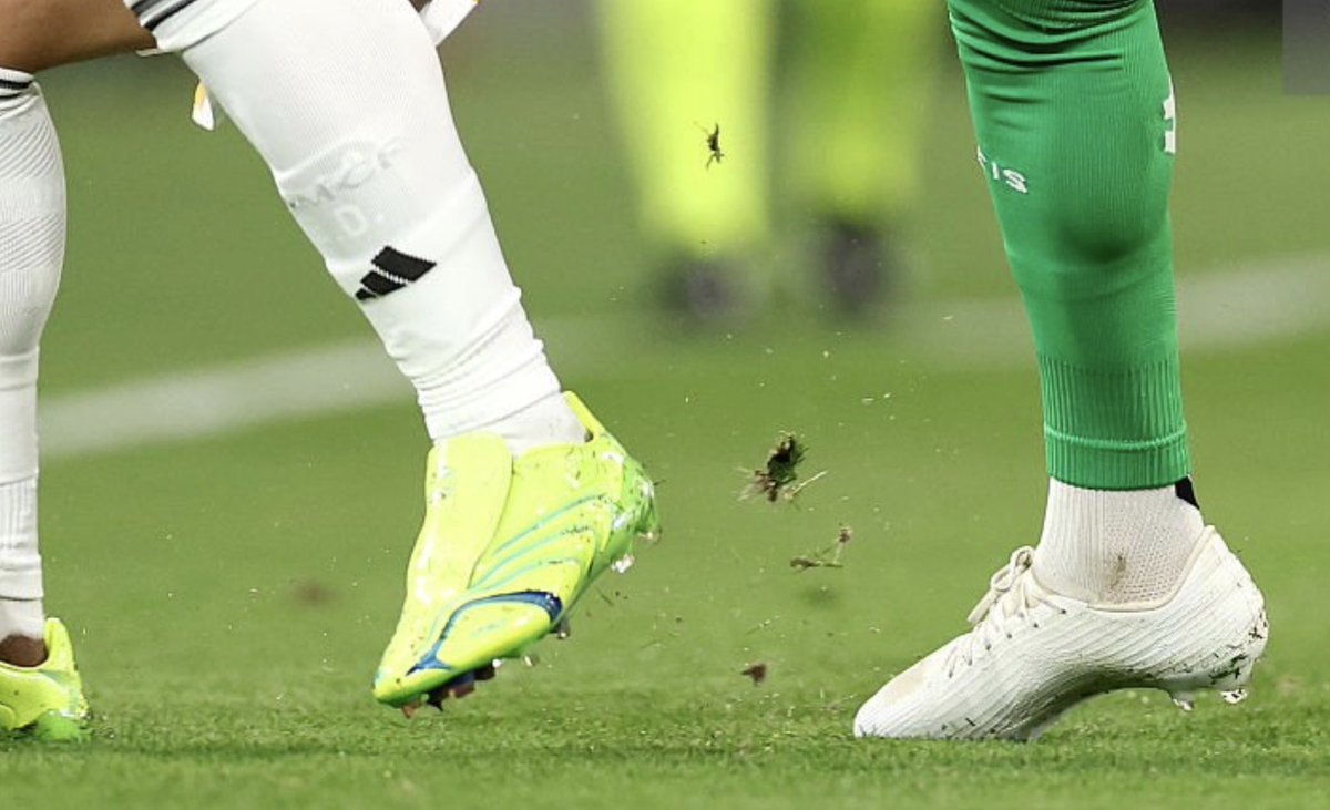 MadrispaniaTV tweet media