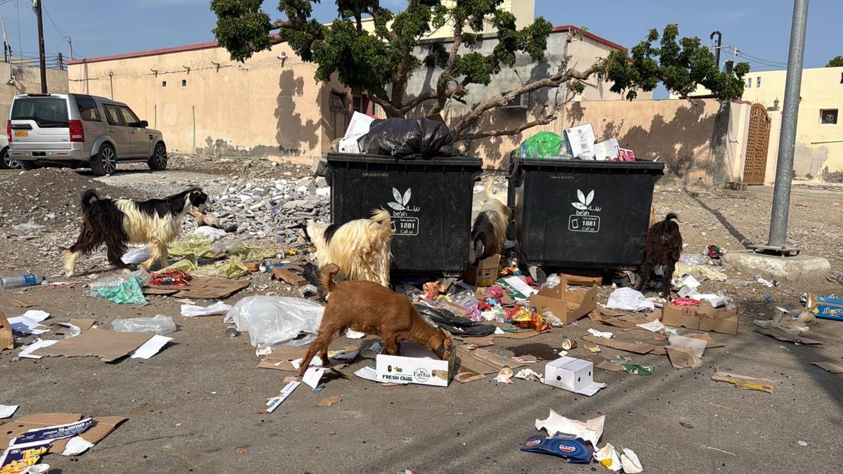 Said Alghuzaili tweet media