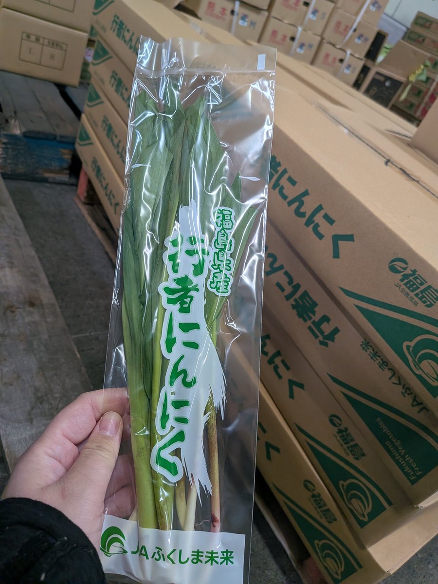 f_maruka's tweet photo. こんばんは😄
こちらは　#福島県産　の【#行者にんにく】です🧄🌿
修行中の行者が体力をつけるために食べたと言われ、名付けられた行者にんにくですが、その通り、殺菌、疲労回復、免疫力向上と栄養価も◎🙆‍♀
体調を崩しやすい今の季節にぴったりです！
#愛食コーナー #企業公式
#福島市場 #山菜 https://t.co/L70aKhnnWE