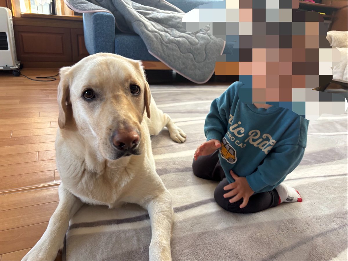 タレ目ラブ tweet media