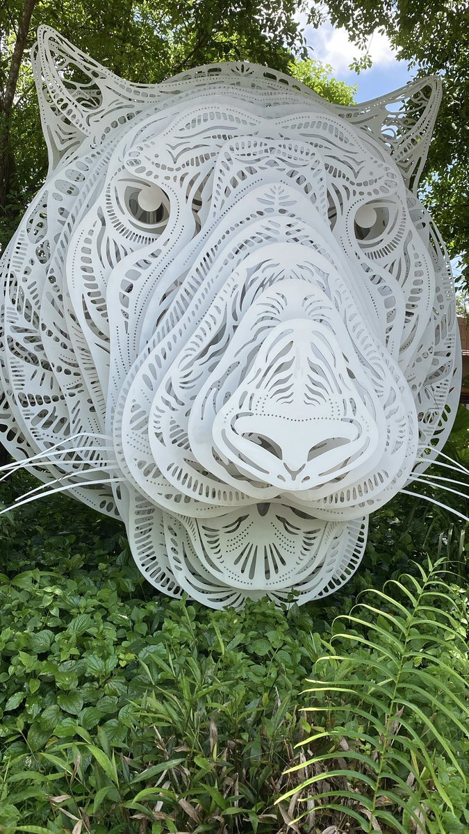 BvB_Megge's tweet image. “Eye of the Tiger” by Survivor 🎶 popped instantly into my head when walking to the entrance of the Rainforest Wild Asia - Trail this morning. 

Must listen to it on the drive home.

Great outing- and yes, we saw the real tigers too. 😬

#Singapore #RainforestWildASIA
#Survivor