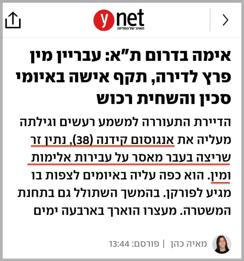 sheffi paz • שפי פז tweet media