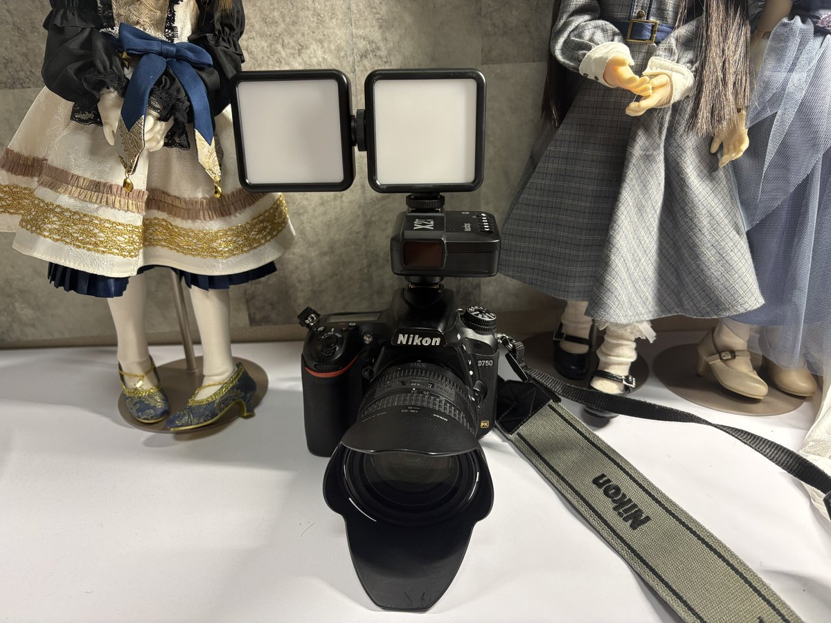 yuria_takane_P's tweet image. もっと光を！！！！！！
🤣🤣🤣🤣🤣🤣🤣

#D750