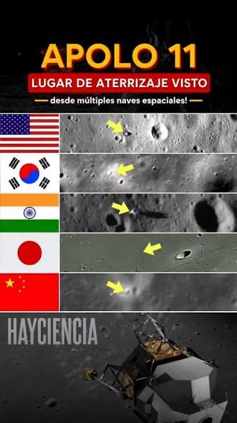 Dunedain tweet media