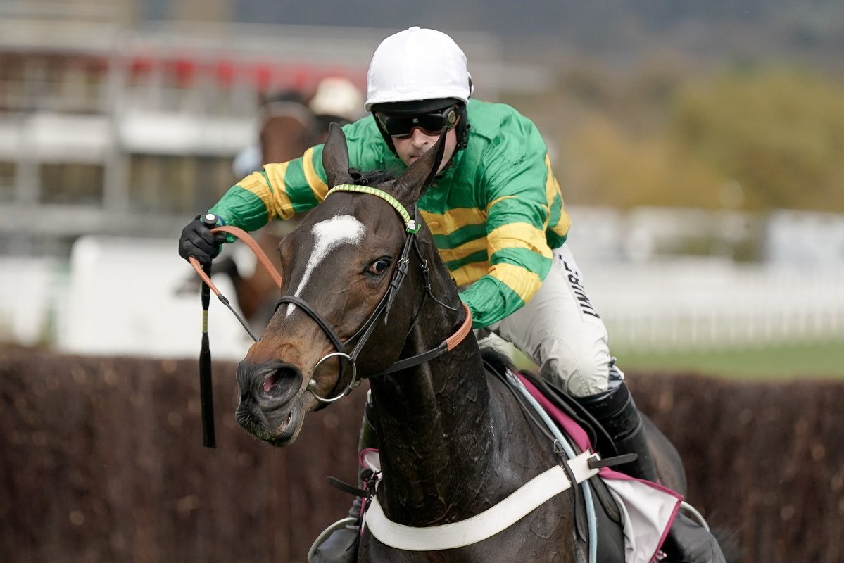 oddsracing tweet media