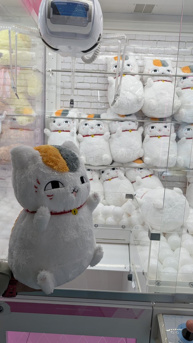 うまうま tweet media